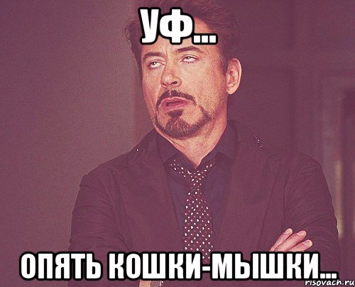 Уф... Опять кошки-мышки..., Мем твое выражение лица