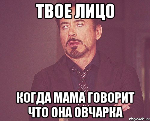 Твое лицо Когда мама говорит что она овчарка, Мем твое выражение лица