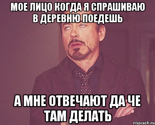 мое лицо когда я спрашиваю в деревню поедешь а мне отвечают да че там делать, Мем твое выражение лица