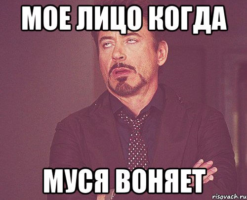 мое лицо когда муся воняет, Мем твое выражение лица