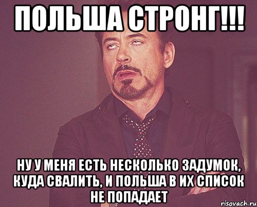 Польша Стронг!!! ну у меня есть несколько задумок, куда свалить, и польша в их список не попадает, Мем твое выражение лица