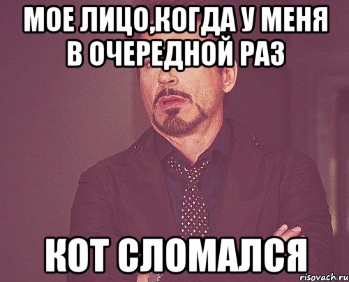 мое лицо,когда у меня в очередной раз кот сломался, Мем твое выражение лица