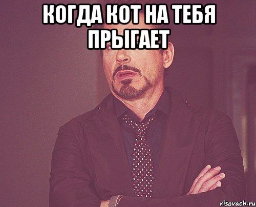 когда кот на тебя прыгает , Мем твое выражение лица