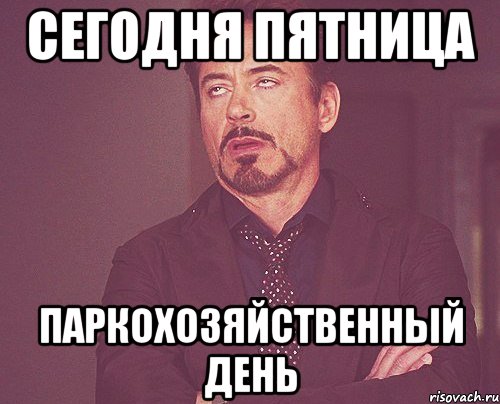 Сегодня пятница Паркохозяйственный день, Мем твое выражение лица