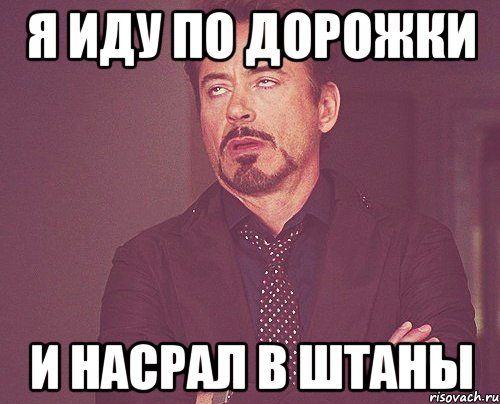 Я ИДУ ПО ДОРОЖКИ И НАСРАЛ В ШТАНЫ, Мем твое выражение лица