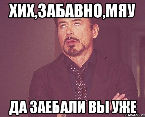 хих,забавно,мяу ДА ЗАЕБАЛИ ВЫ УЖЕ, Мем твое выражение лица