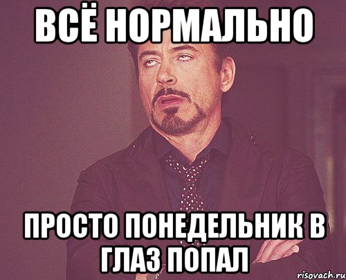 ВСЁ НОРМАЛЬНО ПРОСТО ПОНЕДЕЛЬНИК В ГЛАЗ ПОПАЛ, Мем твое выражение лица