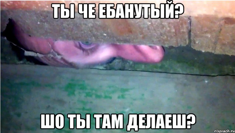 ты че ебанутый? шо ты там делаеш?