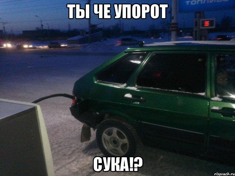 ТЫ ЧЕ УПОРОТ СУКА!?