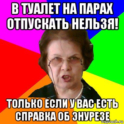 в туалет на парах отпускать нельзя! только если у вас есть справка об энурезе, Мем Типичная училка