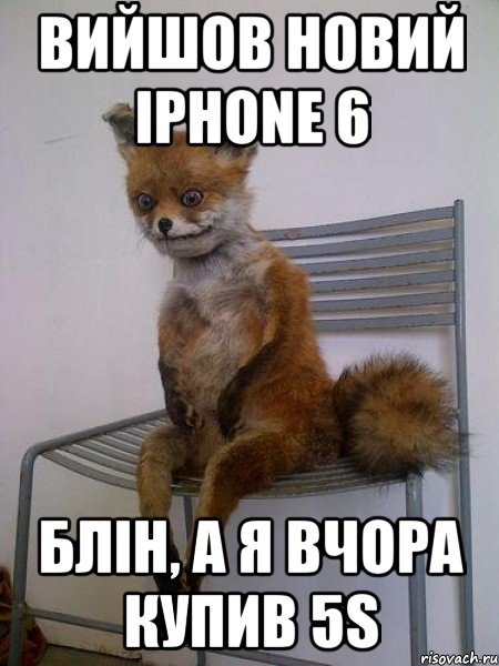 Вийшов новий Iphone 6 Блін, а я вчора купив 5s, Мем Упоротая лиса