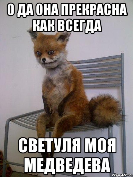 о да она прекрасна как всегда Светуля моя Медведева, Мем Упоротая лиса
