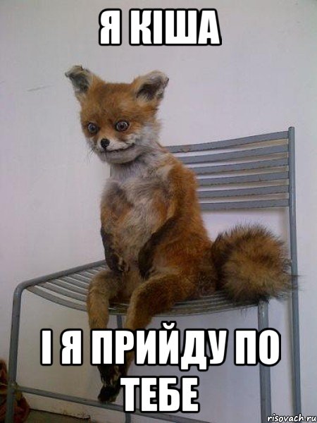 я кіша і я прийду по тебе, Мем Упоротая лиса
