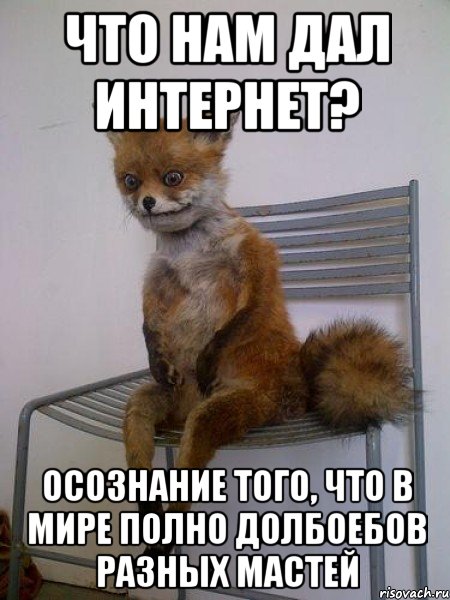 ЧТО НАМ ДАЛ ИНТЕРНЕТ? ОСОЗНАНИЕ ТОГО, ЧТО В МИРЕ ПОЛНО ДОЛБОЕБОВ РАЗНЫХ МАСТЕЙ, Мем Упоротая лиса