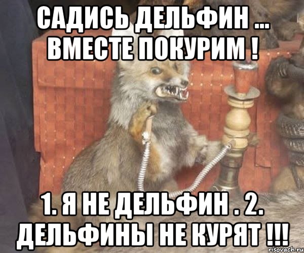 САДИСЬ ДЕЛЬФИН ... ВМЕСТЕ ПОКУРИМ ! 1. Я НЕ ДЕЛЬФИН . 2. ДЕЛЬФИНЫ НЕ КУРЯТ !!!, Мем Упоротый лис курит кальян