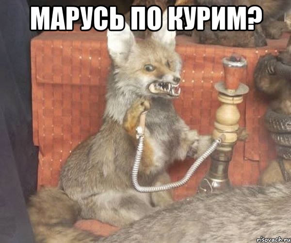 Марусь по курим? 