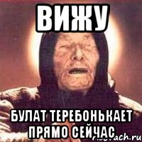 ВИЖУ Булат теребонькает прямо сейчас, Мем Ванга (цвет)