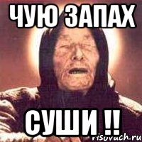Чую запах Суши !!, Мем Ванга (цвет)