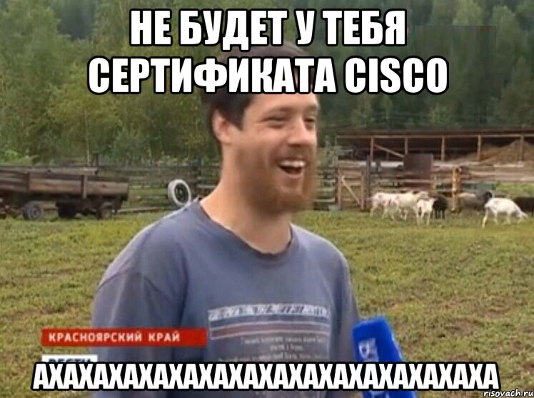 не будет у тебя сертификата Cisco ахахахахахахахахахахахахахахаха, Мем  Веселый молочник Джастас Уолкер