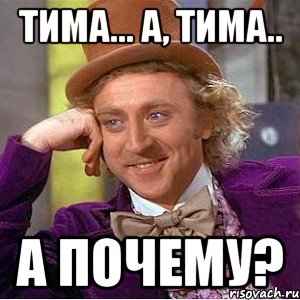 Тима... А, Тима.. А почему?, Мем Ну давай расскажи (Вилли Вонка)