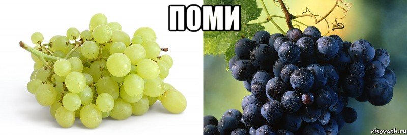 Поми 