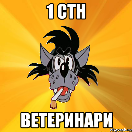 1 СТН Ветеринари, Мем Волк