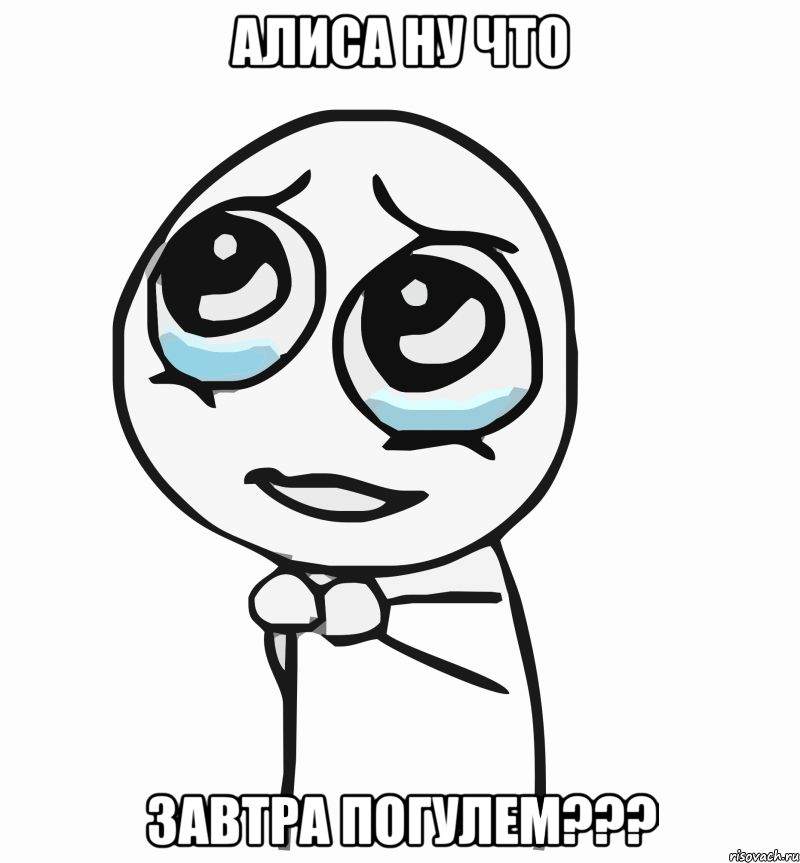 Алиса ну что завтра погулем???, Мем  ну пожалуйста (please)