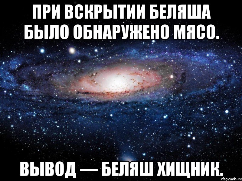 При вскрытии беляша было обнаружено мясо. Вывод — беляш хищник., Мем Вселенная