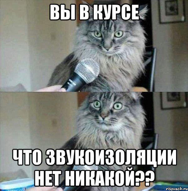 Вы в курсе что звукоизоляции нет никакой??
