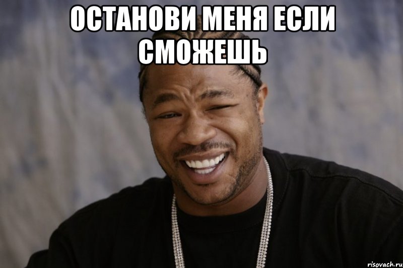 останови меня если сможешь , Мем Xzibit