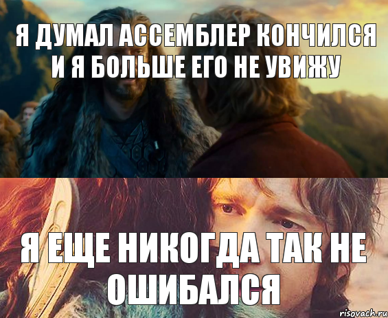 Я думал ассемблер кончился и я больше его не увижу Я еще никогда так не ошибался, Комикс Я никогда еще так не ошибался