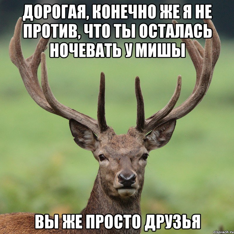 Дорогая, конечно же я не против, что ты осталась ночевать у Мишы Вы же просто друзья, Мем  Я олень