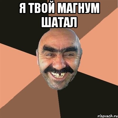 я твой магнум шатал , Мем Я твой дом труба шатал