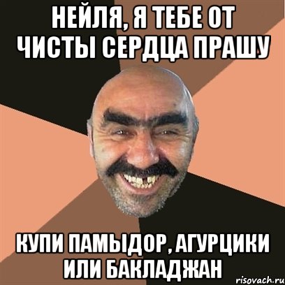 Нейля, я тебе от чисты сердца прашу Купи памыдор, агурцики или бакладжан, Мем Я твой дом труба шатал