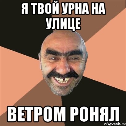 я твой урна на улице ветром ронял, Мем Я твой дом труба шатал