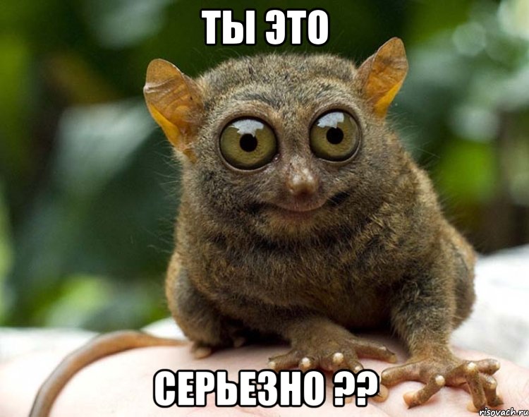 Ты это серьезно ??, Мем я в ахуе