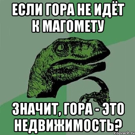 если гора не идёт к магомету значит, гора - это недвижимость?, Мем Филосораптор