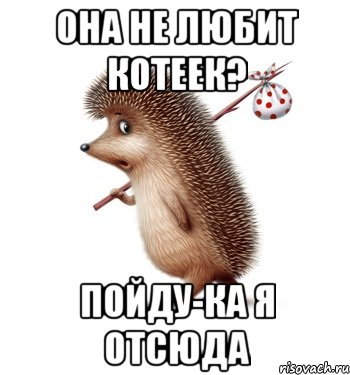 Она не любит котеек? Пойду-ка я отсюда