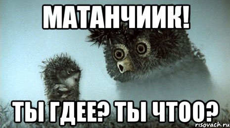 Матанчиик! Ты гдее? Ты чтоо?