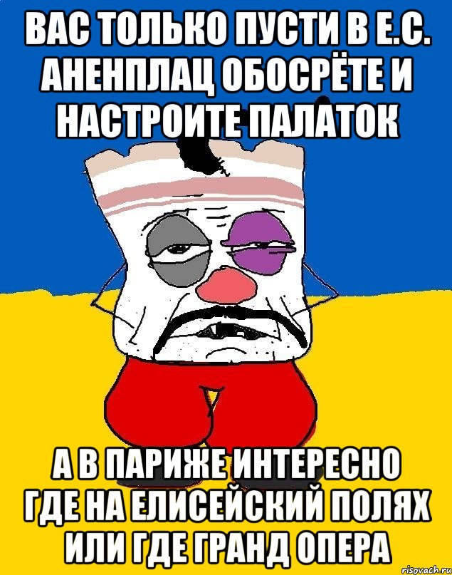 Вас только пусти в е.с. аненплац обосрёте и настроите палаток А в париже интересно где на елисейский полях или где гранд опера, Мем Западенец - тухлое сало