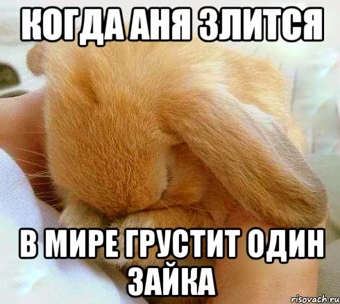 Когда Аня злится В мире грустит один зайка