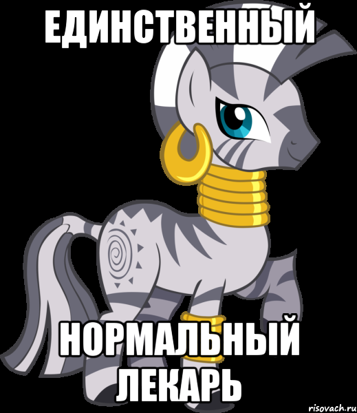 Единственный Нормальный Лекарь, Мем Зекора