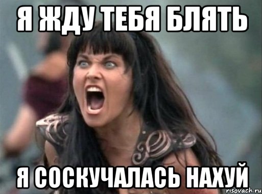 Я ЖДУ ТЕБЯ БЛЯТЬ Я СОСКУЧАЛАСЬ НАХУЙ, Мем Зена