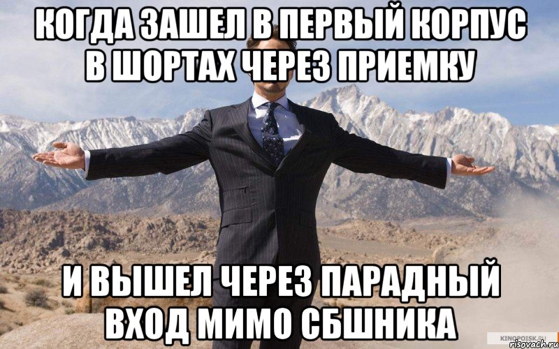 когда зашел в первый корпус в шортах через приемку и вышел через парадный вход мимо сбшника, Мем железный человек