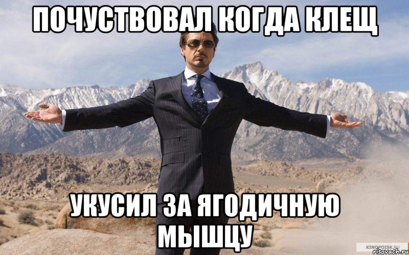 Почуствовал когда клещ укусил за ягодичную мышцу, Мем железный человек