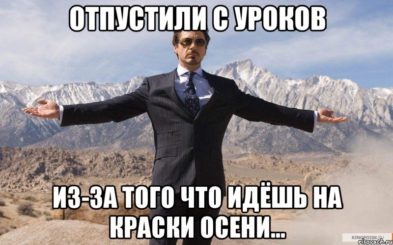 Отпустили с уроков из-за того что идёшь на Краски Осени..., Мем железный человек