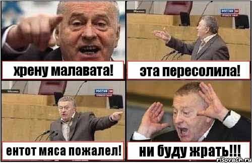 хрену малавата! эта пересолила! ентот мяса пожалел! ни буду жрать!!!, Комикс жиреновский