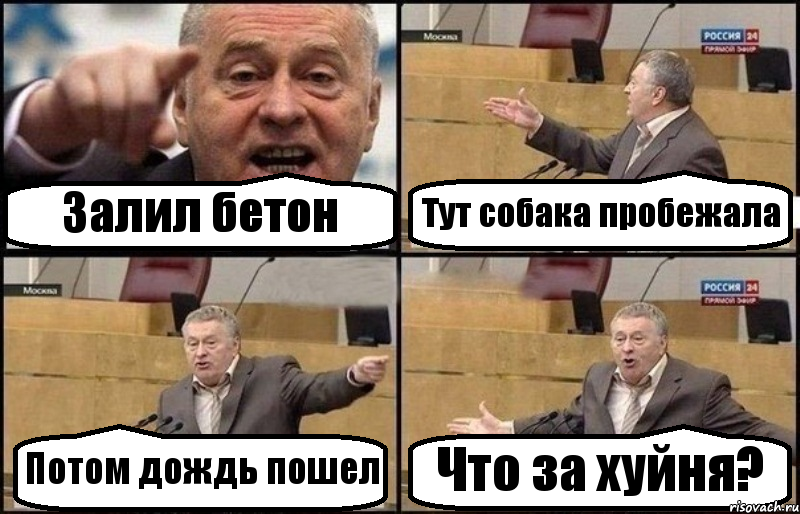 Залил бетон Тут собака пробежала Потом дождь пошел Что за хуйня?, Комикс Жириновский