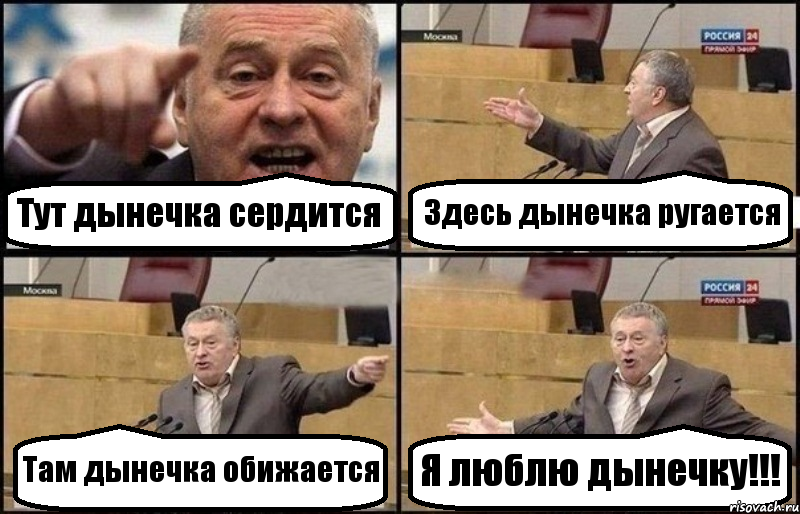 Тут дынечка сердится Здесь дынечка ругается Там дынечка обижается Я люблю дынечку!!!, Комикс Жириновский