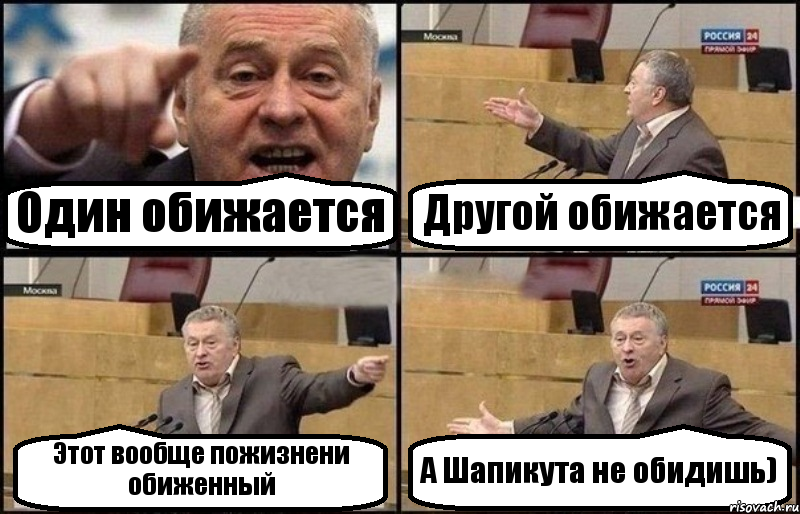 Один обижается Другой обижается Этот вообще пожизнени обиженный А Шапикута не обидишь), Комикс Жириновский